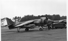 Photographie Photo Vintage Snapshot Avion Aviation Plane Harrier GR3 - Aviation