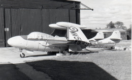 Photographie Photo Vintage Snapshot Avion Aviation Plane Sea Venom FAW 20 - Luchtvaart