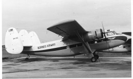 Photographie Photo Vintage Snapshot Avion Aviation Plane Twin PIoneer - Luftfahrt