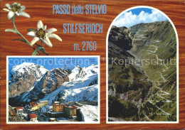 72319548 Stilfserjoch Passo Dello Stelvio Ortlers Zebru Campana  - Autres & Non Classés