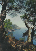 Le Brusc - Paysage De La Côte Varoise - (P) - Six-Fours-les-Plages