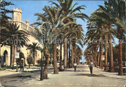 72316809 Palma De Mallorca Paseo De Sagrera Palma - Autres & Non Classés