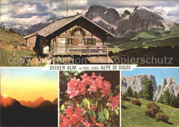 72316681 Dolomiten Seiser Alm Schlerngebiet Felsmassiv Alpenflora Firenze - Autres & Non Classés