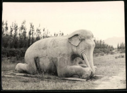 Fotografie Unbekannter Fotograf, Ansicht Peking - Beijing, Skulptur Elefant Am Stadtrand  - Lieux