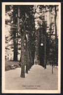 AK Bad-Landeck, Blick Auf Die Kur-Promenade  - Schlesien