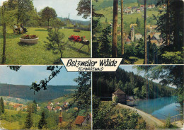 Germany Schwarzwald Betzweiler Walde - Other & Unclassified