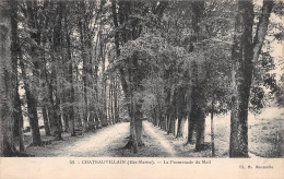 52 CHATEAUVILLAIN - Chateauvillain
