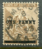 1893 Cape Of Good Hope 1d On 2d No Stop PENNY Used Sg 57b - Cap De Bonne Espérance (1853-1904)
