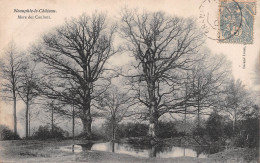 78 NEAUPHLE LE CHÂTEAU MARE DES COULONS - Neauphle Le Chateau