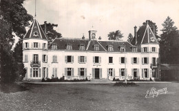 77 CHAUMES EN BRIE CHÂTEAU D ARCY - Other & Unclassified