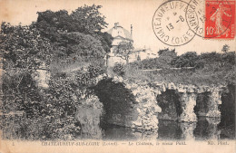 45 CHATEAUNEUF SUR LOIRE LE CHÂTEAU - Sonstige & Ohne Zuordnung