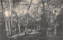 44 LE POULIGUEN UNE ALLEE DU BOIS - Le Pouliguen