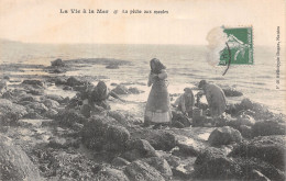 44 LA VIE A LA MER LA PECHE AUX MOULES - Autres & Non Classés