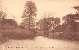 85 SAINT LAURENT SUR SEVRE LA SALETTE - Autres & Non Classés