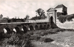 17 L ILE DE RE SAINT MARTIN DE RE PORTE CAMPAGNI - Ile De Ré