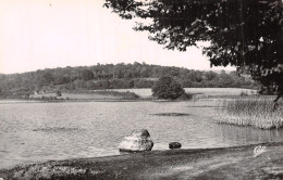 58 LORMES L ETANG DE GOULOT - Lormes