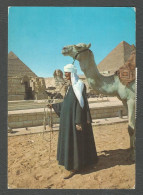 GIZA - GIZEH - THE SPHINX And THE PYRAMIDS Of CHEOPS And CHEPHREN - CAMEL - EGYPT - - Gizeh