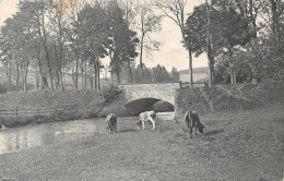 BELGIQUE LIEGE - Lüttich