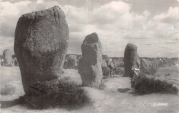 56 CARNAC LES MENHIRS - Carnac