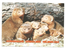 DWARF MONGOOSE - Helogale Parvula - KORKEASAARI ZOO - Special Zoo Stamped - FINLAND - - Other & Unclassified
