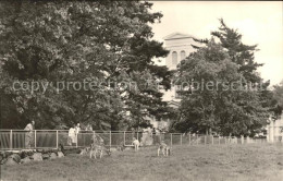 71925139 Putbus Ruegen Tiergarten Putbus - Sonstige & Ohne Zuordnung