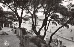 85 NOIRMOUTIER BOIS DE LA CHAISE - Noirmoutier