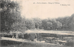 92 MEUDON LA FORET ETANG DE VILLEBON - Meudon