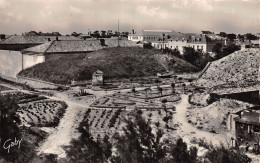 17 L ILE DE RE SAINT MARTIN - Ile De Ré