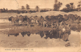 EGYPT LE CAIRE SCENES AND TYPES CAMELS - Kairo