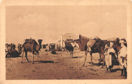 ALGERIE TOUGGOURT LA GARE - Autres & Non Classés