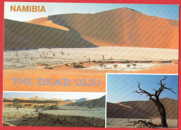 Namibie Namibia - The Dead Vlei - Namib Desert - Vues Diverses - Namibië