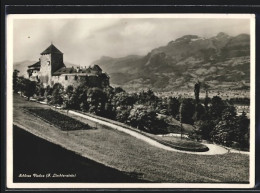 AK Vaduz, Blick Zum Schloss Vaduz  - Liechtenstein