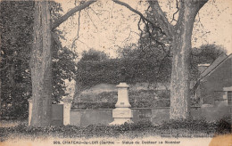 72 CHÂTEAU DU LOIR STATUE DU DOCTEUR LE MONNIER - Chateau Du Loir