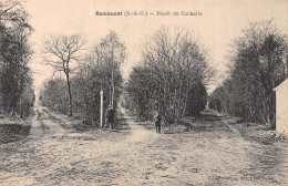 95 BEAUMONT FORET DE CARNELLE - Beaumont Sur Oise