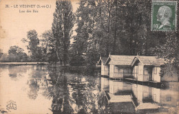 78 LE VESINET LAC DES IBIS - Le Vésinet