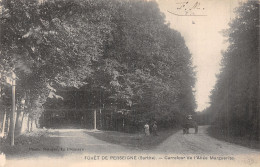 72 FORET DE PERSEIGNE L ALLEE MARGUERITE - Autres & Non Classés