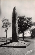 44 SAINT NAZAIRE MONUMENT - Saint Nazaire