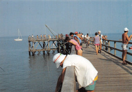 85 L ILE DE NOIRMOUTIER BOIS DE LA CHAIZE - Ile De Noirmoutier