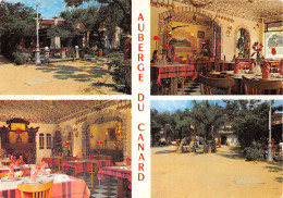 30 VILLENEUVE LES AVIGNON AUBERGE DU CANARD - Villeneuve-lès-Avignon