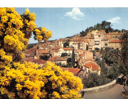 83 BORMES LES MIMOSAS VIEUX VILLLAGE - Bormes-les-Mimosas