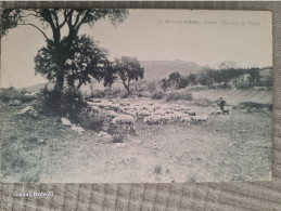 30.GARD// ALES ALAIS. Troupeau De Moutons Un Coin Du Vignal..animee - Alès