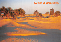 TUNISIE SAHARA DE DOUZ - Tunisia