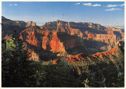 USA AZ GRAND CANYON - Gran Cañon