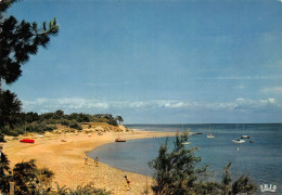 17 ILE DE RE LA PLAGE DE TROUSSE CHEMISE - Ile De Ré