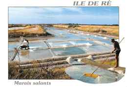 17 ILE DE RE MARAIS SALANTS - Ile De Ré