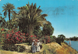 EGYPT ASSOUAN - Asuán