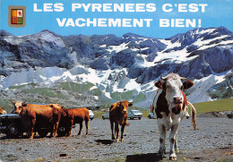 65 LES PYRENEES - Other & Unclassified