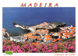 PORTUGAL MADEIRA CAMARA DE LABOS - Madeira