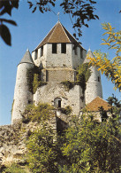 77 PROVINS TOUR DE CESAR - Provins