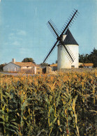 17 ILE DE RE LE MOULIN DU MORINANT - Ile De Ré